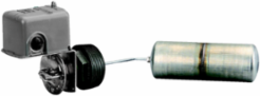 Float switch, Square D Pumptrol, closed tank, NEMA 1, screw in bushing, 2NC DPST DB contacts