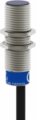 Inductive proximity sensors XS, inductive sensor XS5 M12, L53mm, brass, Sn2mm, 12...48 VDC, cable 2 m