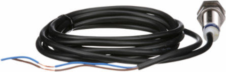 Inductive proximity sensors XS, inductive sensor XS6 M12, L54mm, brass, Sn4mm, 24...240VAC/DC, cable 2 m