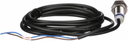 Inductive proximity sensors XS, inductive sensor XS6 M12, L54mm, brass, Sn4mm, 24...240VAC/DC, cable 2 m