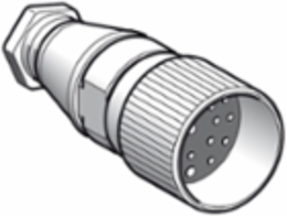 Female, M23, 19 pin, straight connector, cable gland Pg 13.5