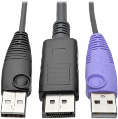 NetDirector DisplayPort USB Server Interface Unit, 164 ft. Distance Support