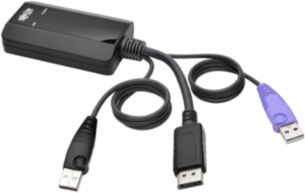 NetDirector DisplayPort USB Server Interface Unit, 164 ft. Distance Support