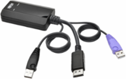NetDirector DisplayPort USB Server Interface Unit, 164 ft. Distance Support