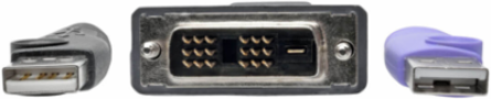 NetDirector DVI USB Server Interface Unit, 164 ft. Distance, TAA Compliant