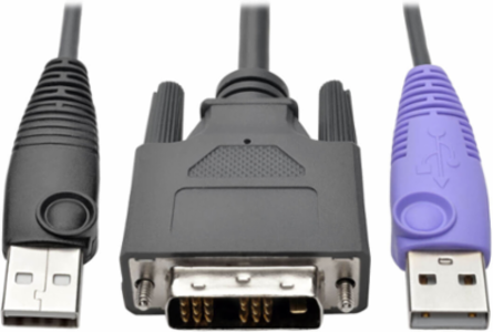 NetDirector DVI USB Server Interface Unit, 164 ft. Distance, TAA Compliant