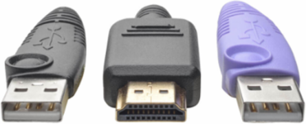 NetDirector HDMI USB Server Interface Unit, 164 ft Range, Cat5e/6, TAA Compliant