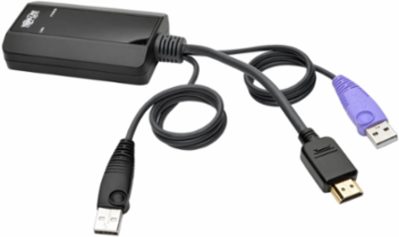 NetDirector HDMI USB Server Interface Unit, 164 ft Range, Cat5e/6, TAA Compliant