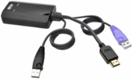 NetDirector HDMI USB Server Interface Unit, 164 ft Range, Cat5e/6, TAA Compliant