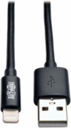 USB Sync/Charge Cable 10 ft with Lightning Connector, USB 2.0, Black