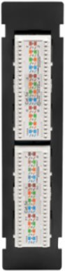 12-Port Cat5e Wall-Mount Patch Panel - PoE+ Compliant, 110 IDC, RJ45