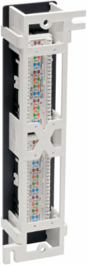 12-Port Cat5e Wall-Mount Patch Panel - PoE+ Compliant, 110 IDC, RJ45