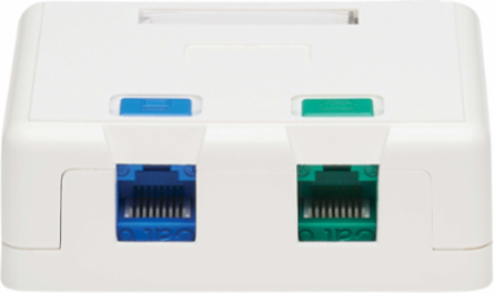 Surface-Mount Box, 2 Ports, White, Flame-Resistant ABS Construction