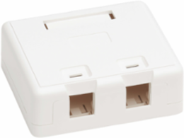 Surface-Mount Box, 2 Ports, White, Flame-Resistant ABS Construction