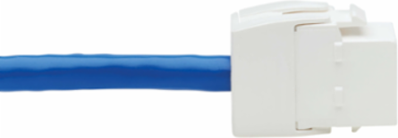 Cat6 PoE+ Keystone Jack Cable Assembly 18 Inch, UTP, 1Gbps, Blue