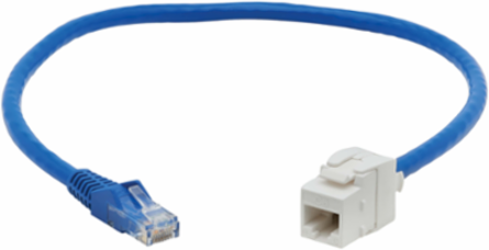 Cat6 PoE+ Keystone Jack Cable Assembly 18 Inch, UTP, 1Gbps, Blue