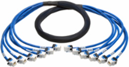 Cat6a 10G Pre-Terminated Copper Trunk Bundle, 6 ft, 6 RJ45 Connectors, CMR Jacket