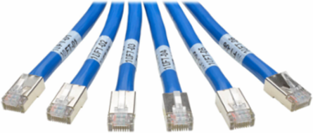 10 ft. Cat6a 10G Pre-Terminated Copper Trunk Bundle, 6x RJ45, CMR Rated