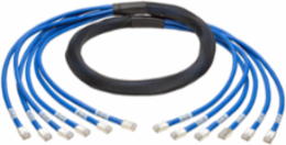 10 ft. Cat6a 10G Pre-Terminated Copper Trunk Bundle, 6x RJ45, CMR Rated