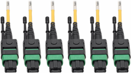 Singlemode Slim Trunk Cable, 24 Strand, 40/100 GbE, 11 m (36 ft)