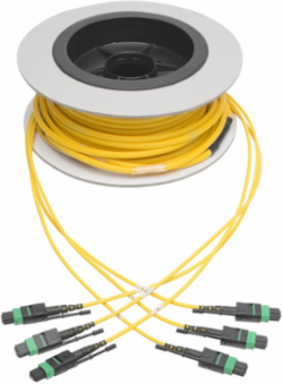 Singlemode Slim Trunk Cable, 24 Strand, 40/100 GbE, 11 m (36 ft)
