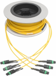 Singlemode Slim Trunk Cable, 24 Strand, 40/100 GbE, 11 m (36 ft)