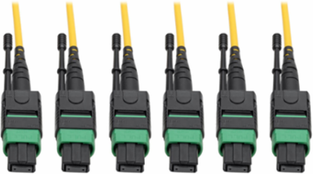MTP/MPO Singlemode Slim Trunk Cable 24-Strand 38m (124 ft.) Plenum, 6mm