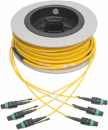 MTP/MPO Singlemode Slim Trunk Cable 24-Strand 38m (124 ft.) Plenum, 6mm