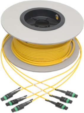 MTP/MPO Singlemode Slim Trunk Cable, 24-Strand, 61 m (200 ft.)