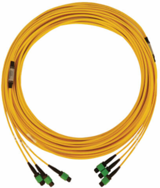 Fiber Optic Cable, 3x8F MTP/MPO APC F/F, Singlemode 9/125 OS2, 40/100G, LSZH, Yellow, 15 m