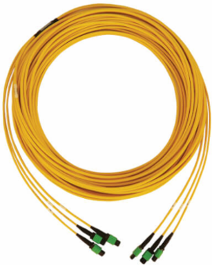 Fiber Optic Cable, 3x8F MTP/MPO APC F/F, Singlemode 9/125 OS2, 40/100G, LSZH, Yellow, 30 m