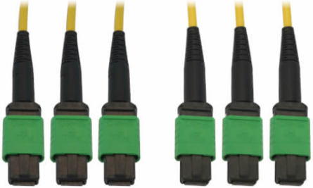 Fiber Optic Cable, 3x8F MTP/MPO APC F/F, Singlemode 9/125 OS2, 40/100G, LSZH, Yellow, 45 m