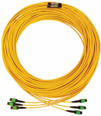 Fiber Optic Cable, 3x8F MTP/MPO APC F/F, Singlemode 9/125 OS2, 40/100G, LSZH, Yellow, 61 m