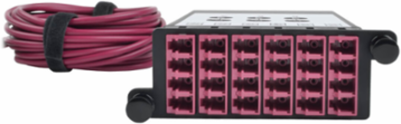 40/100Gb OM4 Fiber Breakout Cassette, 12 LC Ports, 3 x 2M MTP Cables