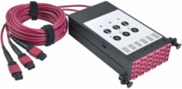 40/100Gb OM4 Fiber Breakout Cassette, 12 LC Ports, 3 x 2M MTP Cables