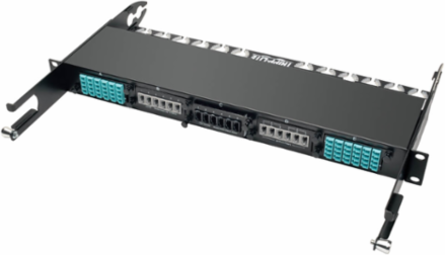 100/120Gb Pass-Through Cassette, 6 Ports, 24-Fiber MTP/MPO (Female)