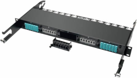 100/120Gb Pass-Through Cassette, 6 Ports, 24-Fiber MTP/MPO (Female)