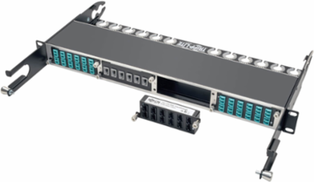 100/120Gb Pass-Through Cassette, 12 Ports, 24-Strand MTP/MPO (Female)