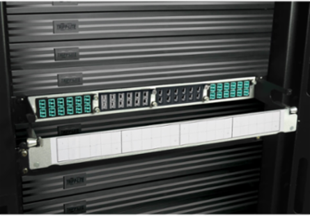 100/120Gb Pass-Through Cassette, 12 Ports, 24-Strand MTP/MPO (Female)
