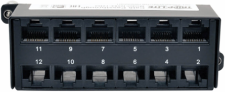 Cat6a Pass-Through Cassette with 12 RJ45 Ports, 10 Gbps Speeds