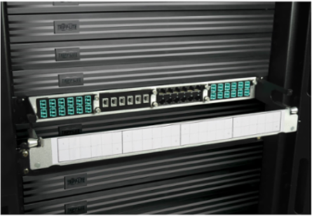 Cat6a Pass-Through Cassette with 12 RJ45 Ports, 10 Gbps Speeds