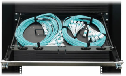 Preloaded Fiber Panel, 1U - 2x (12x LC/LC Duplex M/M) 24F Trunk Cables, OM4 Multimode, 10 m (32.8 ft.)