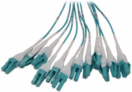 Preloaded Fiber Panel, 1U - 2x (12x LC/LC Duplex M/M) 24F Trunk Cables, OM4 Multimode, 20 m (65.6 ft.)