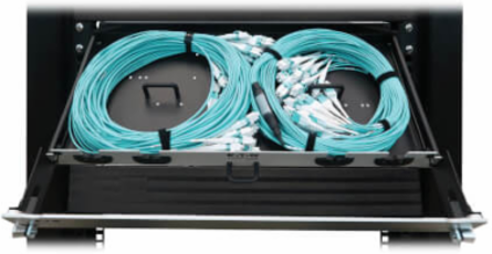 Preloaded Fiber Panel, 1U - 2x (12x LC/LC Duplex M/M) 24F Trunk Cables, OM4 Multimode, 20 m (65.6 ft.)