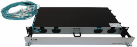 Preloaded Fiber Panel, 1U - 2x (12x LC/LC Duplex M/M) 24F Trunk Cables, OM4 Multimode, 20 m (65.6 ft.)