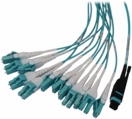Preloaded Fiber Panel, 1U - 2x (24F MTP/MPO-PC to 12x LC Duplex F/M) 24F Trunk Cables, OM4 Multimode, 10 m (32.8 ft.)