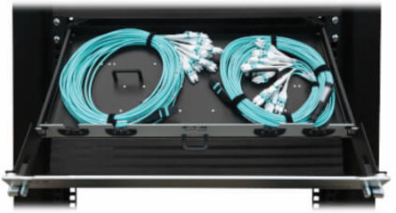 Preloaded Fiber Panel, 1U - 2x (24F MTP/MPO-PC to 12x LC Duplex F/M) 24F Trunk Cables, OM4 Multimode, 10 m (32.8 ft.)