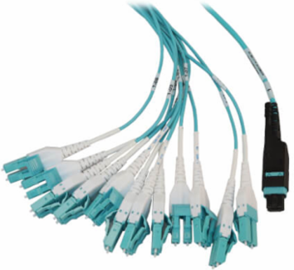 Preloaded Fiber Panel, 1U - 2x (24F MTP/MPO-PC to 12x LC Duplex F/M) 24F Trunk Cables, OM4 Multimode, 20 m (65.6 ft.)