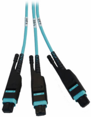 Preloaded Fiber Panel, 1U - 2x (3x8F MTP/MPO-PC F/F) 24F Trunk Cables, OM4 Multimode, 20 m (65.6 ft.)