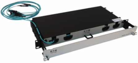 Preloaded Fiber Panel, 1U - 2x (3x8F MTP/MPO-PC F/F) 24F Trunk Cables, OM4 Multimode, 20 m (65.6 ft.)
